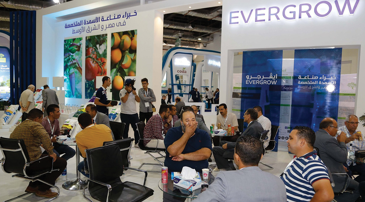 ايڤرجرو في معرض صحارى 2019