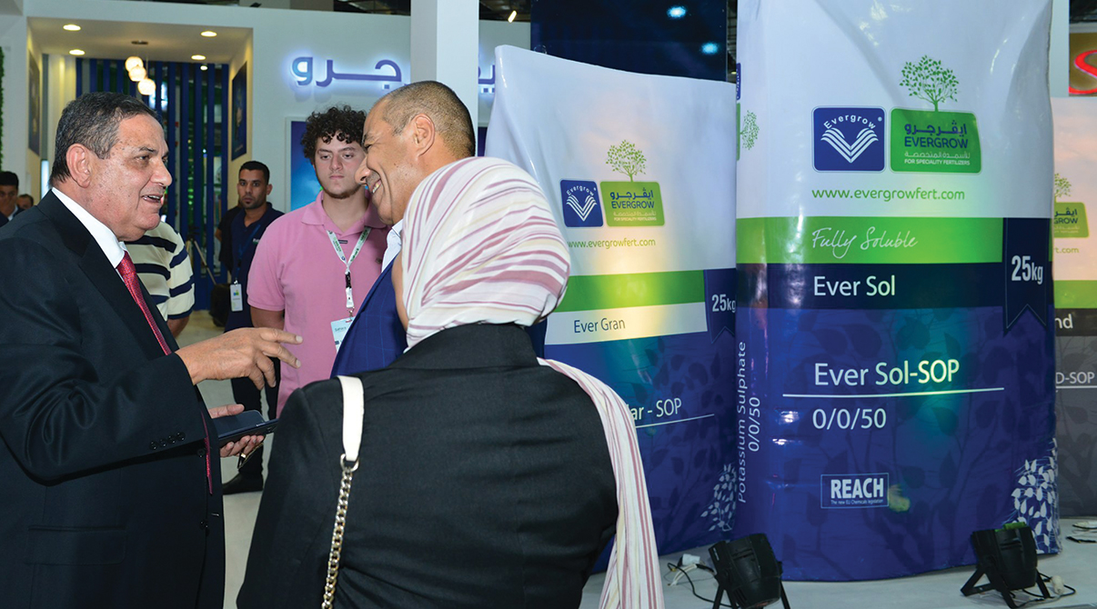 ايڤرجرو في معرض صحارى 2019