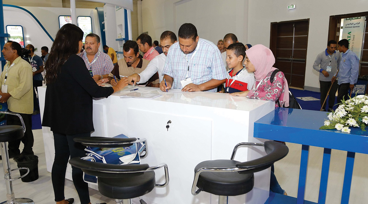 ايڤرجرو في معرض صحارى 2019
