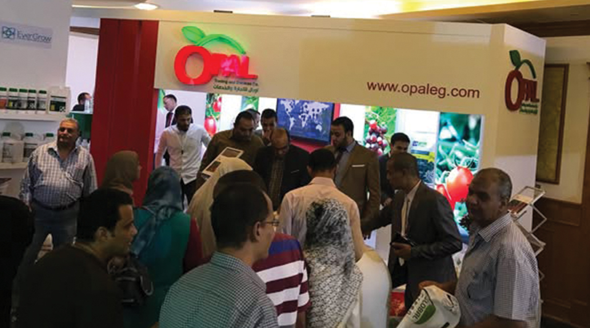 ايڤرجرو تنتظركم في صحارى 2017