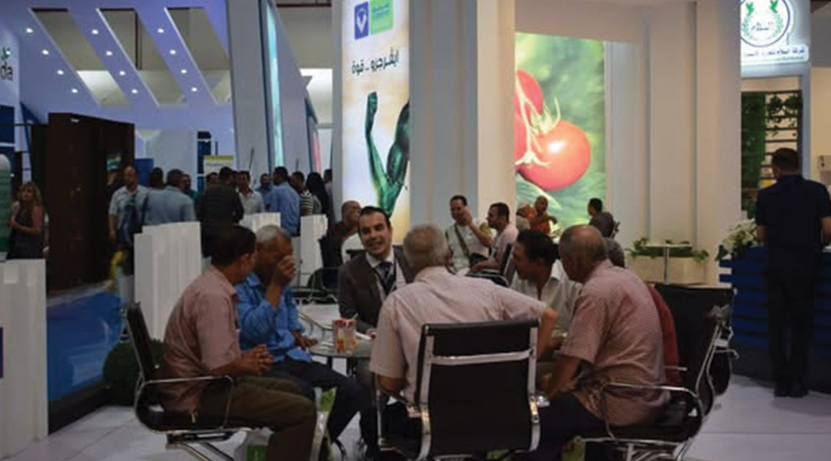 ايڤرجرو تنتظركم في صحارى 2017