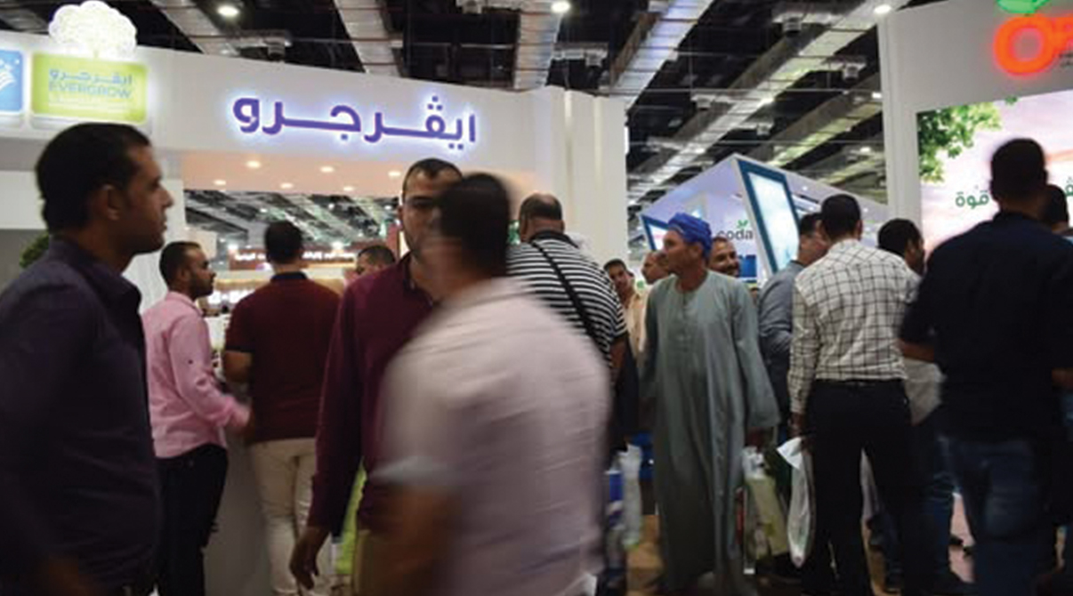 ايڤرجرو تنتظركم في صحارى 2017