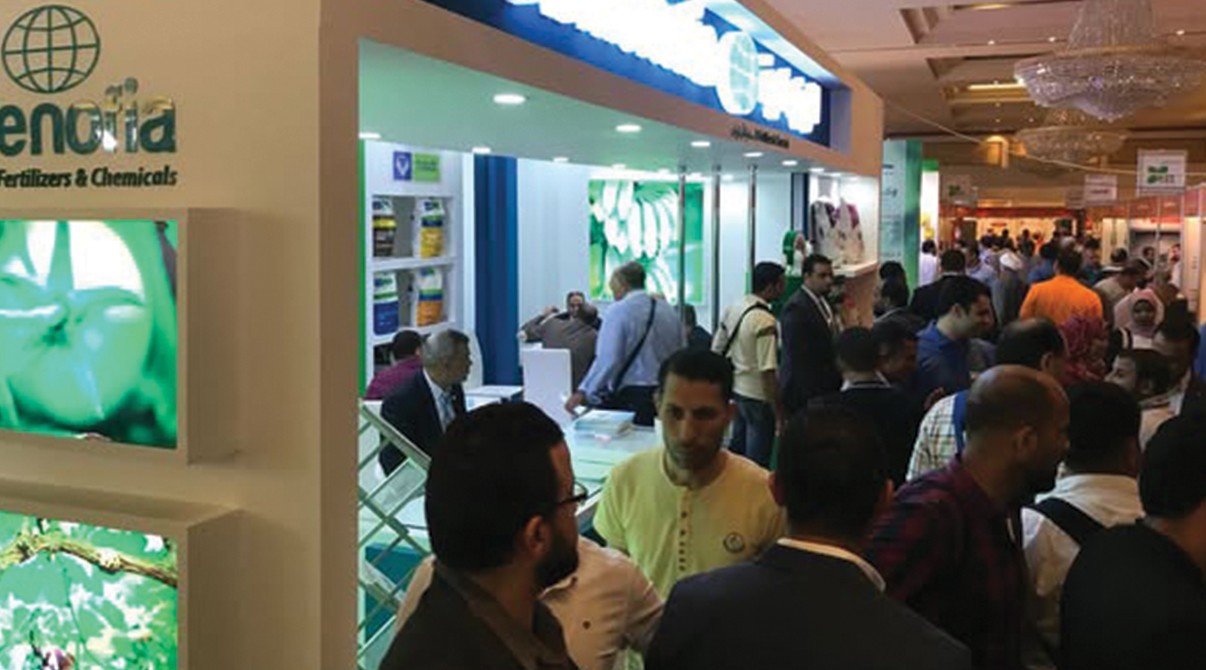 ايڤرجرو تنتظركم في صحارى 2017