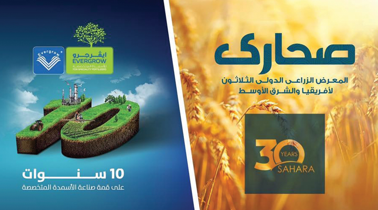 ايڤرجرو تنتظركم في صحارى 2017