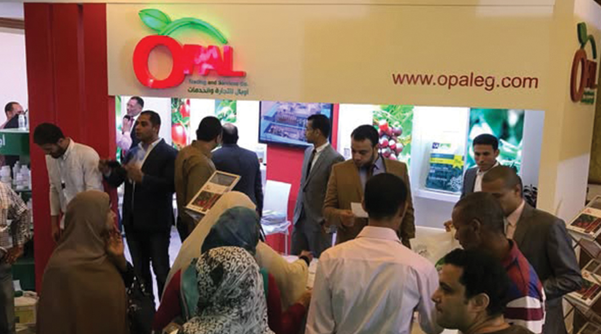 ايڤرجرو تنتظركم في صحارى 2017