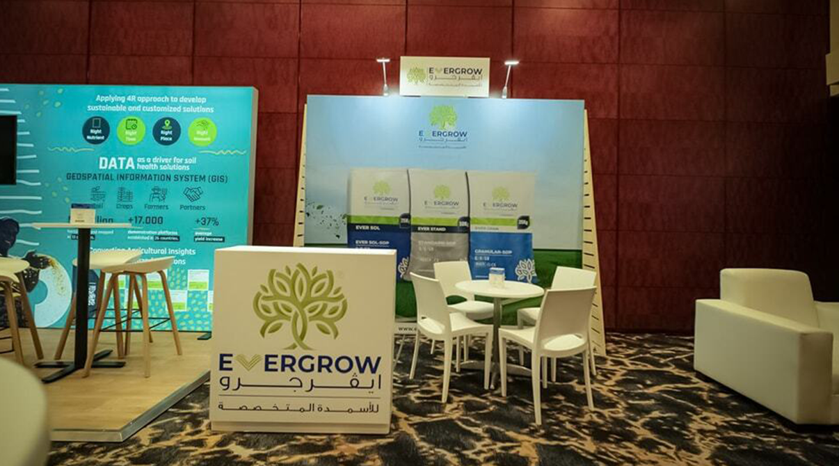 ايڤرجرو في مؤتمر Argus Africa بكاب تاون