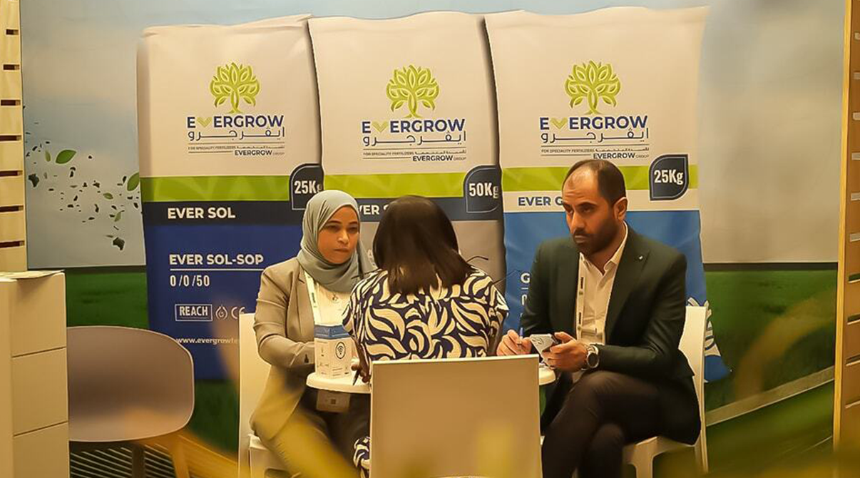 ايڤرجرو في مؤتمر Argus Africa بكاب تاون
