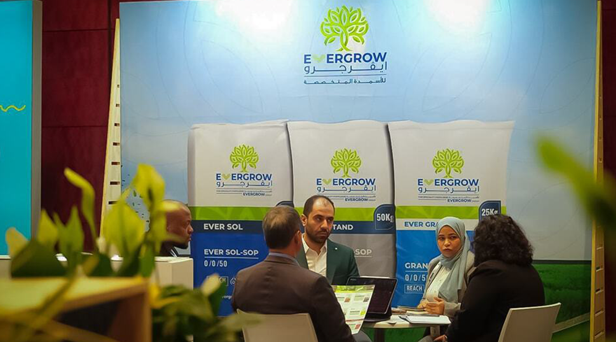 ايڤرجرو في مؤتمر Argus Africa بكاب تاون