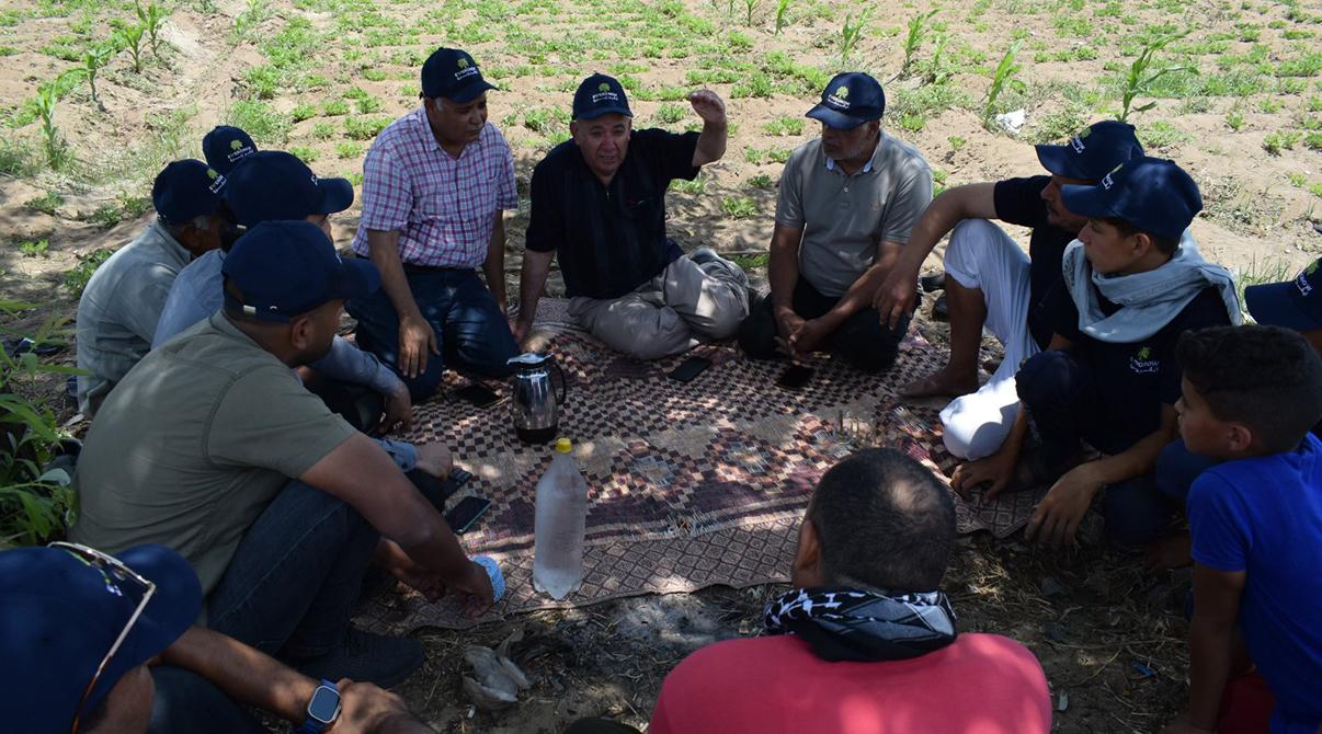 Evergrow and Arab Potash Company Research Team Conduct Field Visits in Menoufia and Ismailia