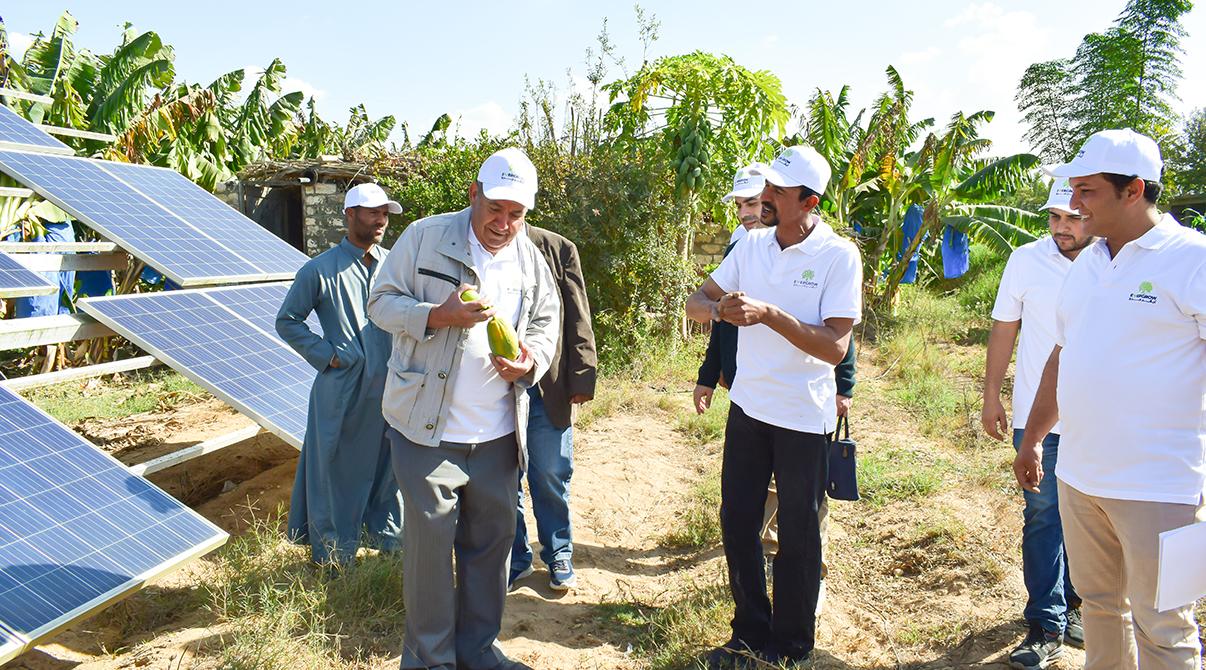 Evergrow and Arab Potash Company Research Team Conduct Field Visits to Optimize Potash Fertilizer Use at Giza, Menoufia and Ismailia