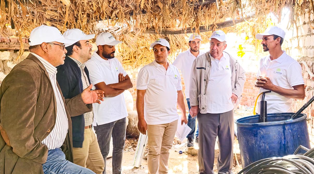 Evergrow and Arab Potash Company Research Team Conduct Field Visits to Optimize Potash Fertilizer Use at Giza, Menoufia and Ismailia