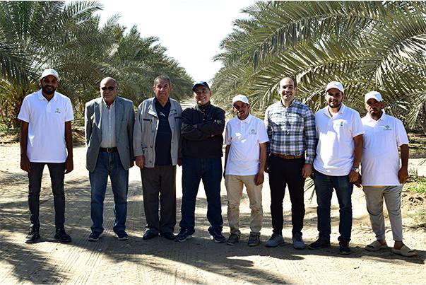 Evergrow and Arab Potash Company Research Team Conduct Field Visits to Optimize Potash Fertilizer Use at Giza, Menoufia and Ismailia