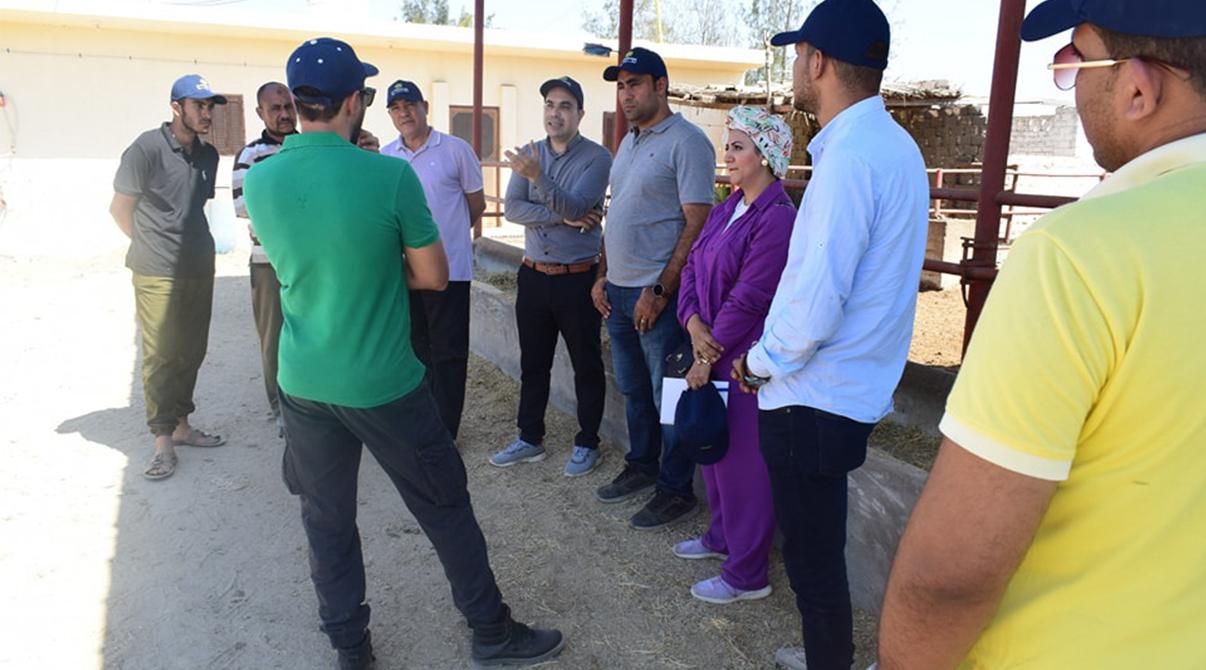 Evergrow Technical Support and Animal Nutrition Teams Conduct Field Visits to Livestock Farms