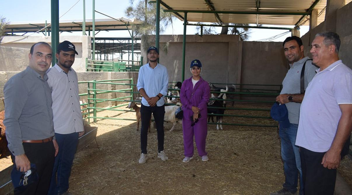 Evergrow Technical Support and Animal Nutrition Teams Conduct Field Visits to Livestock Farms