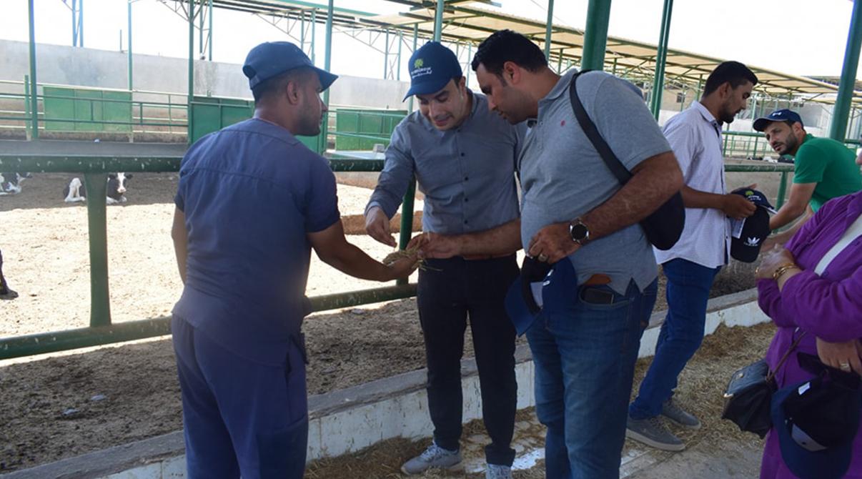 Evergrow Technical Support and Animal Nutrition Teams Conduct Field Visits to Livestock Farms