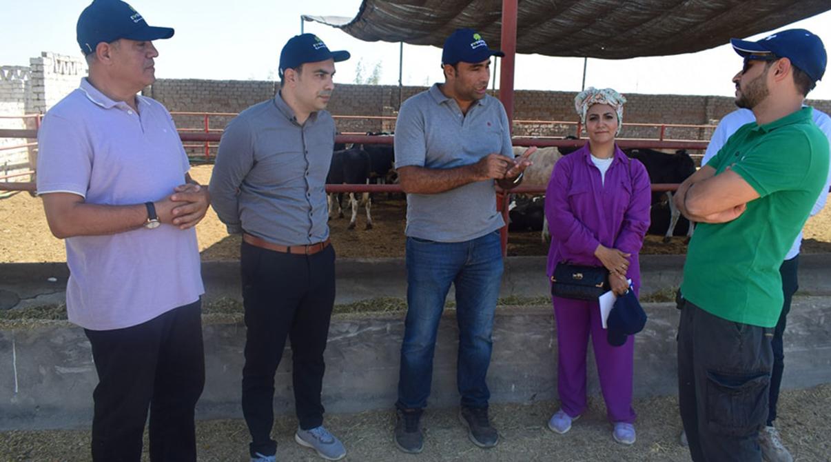 Evergrow Technical Support and Animal Nutrition Teams Conduct Field Visits to Livestock Farms