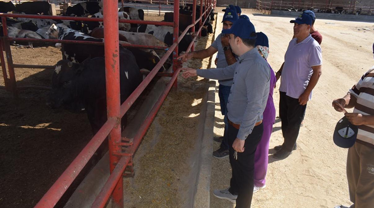 Evergrow Technical Support and Animal Nutrition Teams Conduct Field Visits to Livestock Farms