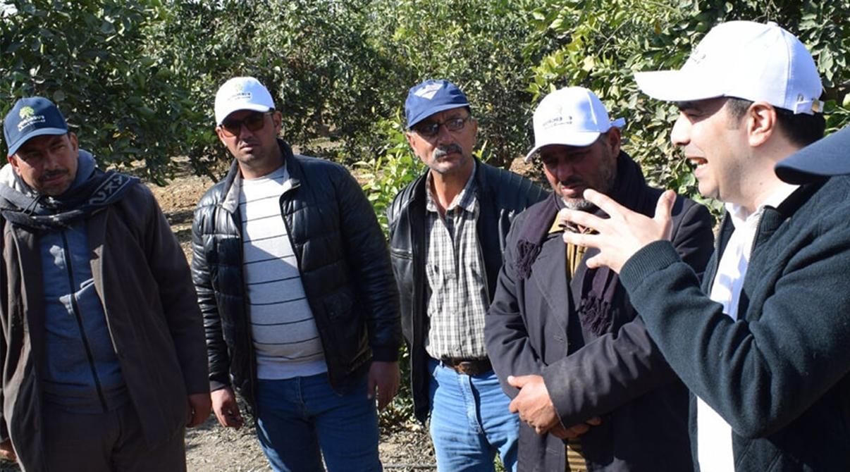 Evergrow Technical Support Team Visits Ramses Farm for Citrus Crop Guidance