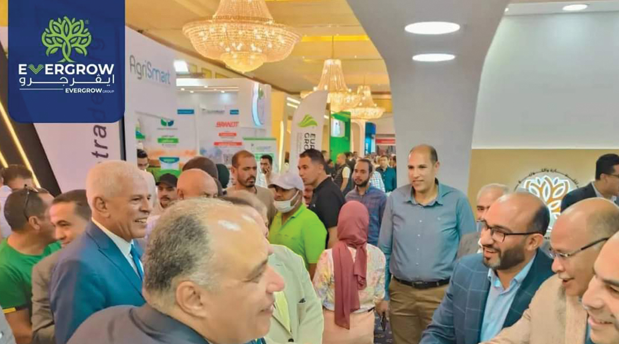 ايڤرجرو تشارك في معرض الوادي 2023