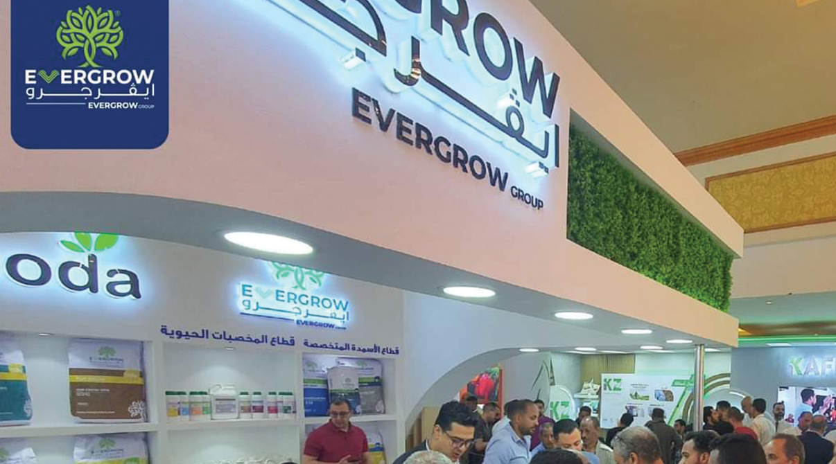 ايڤرجرو تشارك في معرض الوادي 2023