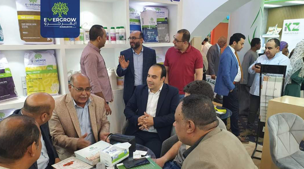 ايڤرجرو تشارك في معرض الوادي 2023