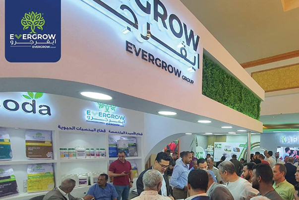 ايڤرجرو تشارك في معرض الوادي 2023