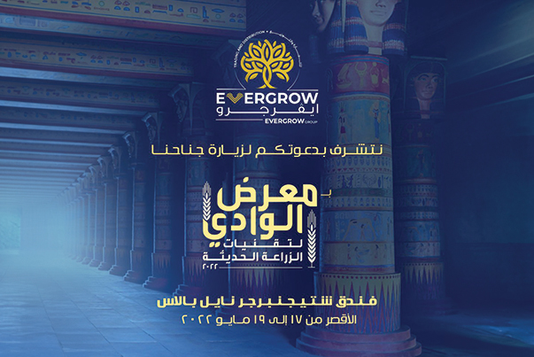 ايڤرجرو للتوزيع في معرض الوادي - الأقصر