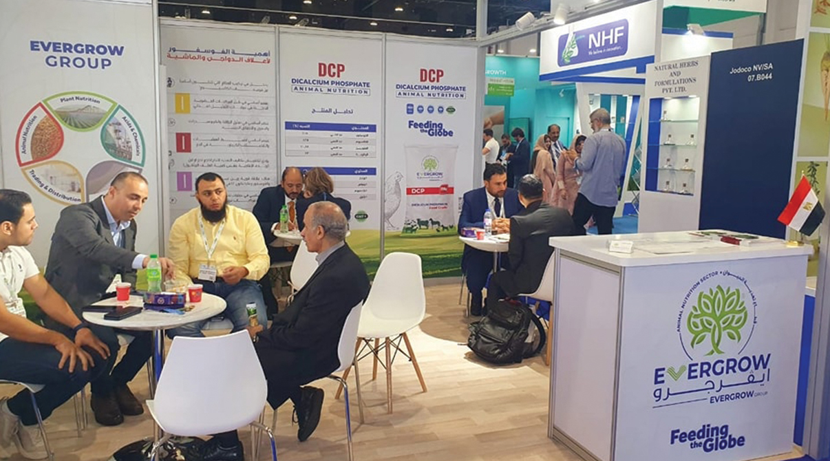 ايڤرجرو تشارك في معرض VIV MEA 2023 – أبوظبي