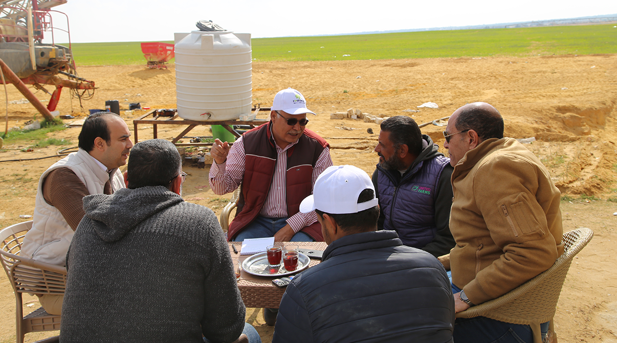 Field Visit to Strengthen Collaboration with Sugar Beet Farmers in Wadi El Natrun
