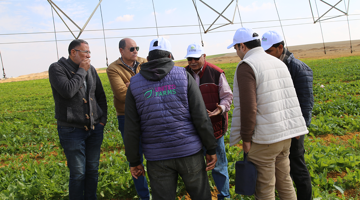 Field Visit to Strengthen Collaboration with Sugar Beet Farmers in Wadi El Natrun