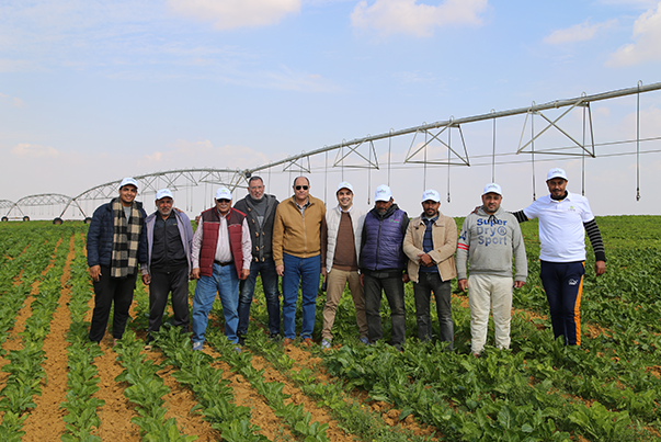 Field Visit to Strengthen Collaboration with Sugar Beet Farmers in Wadi El Natrun