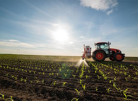 Zero-Waste Initiatives in Agriculture