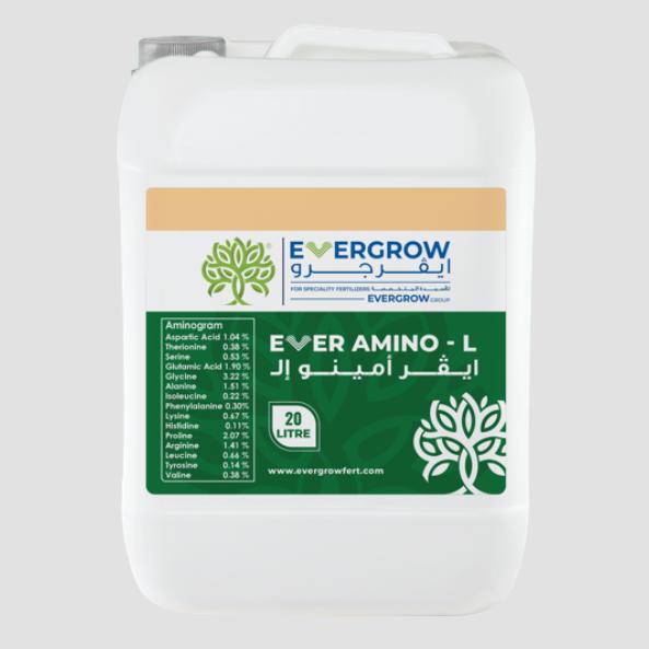 EVER AMINO – L