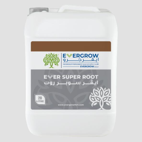 EVER SUPER ROOT